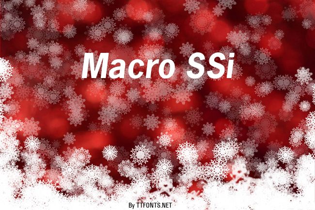 Macro SSi example